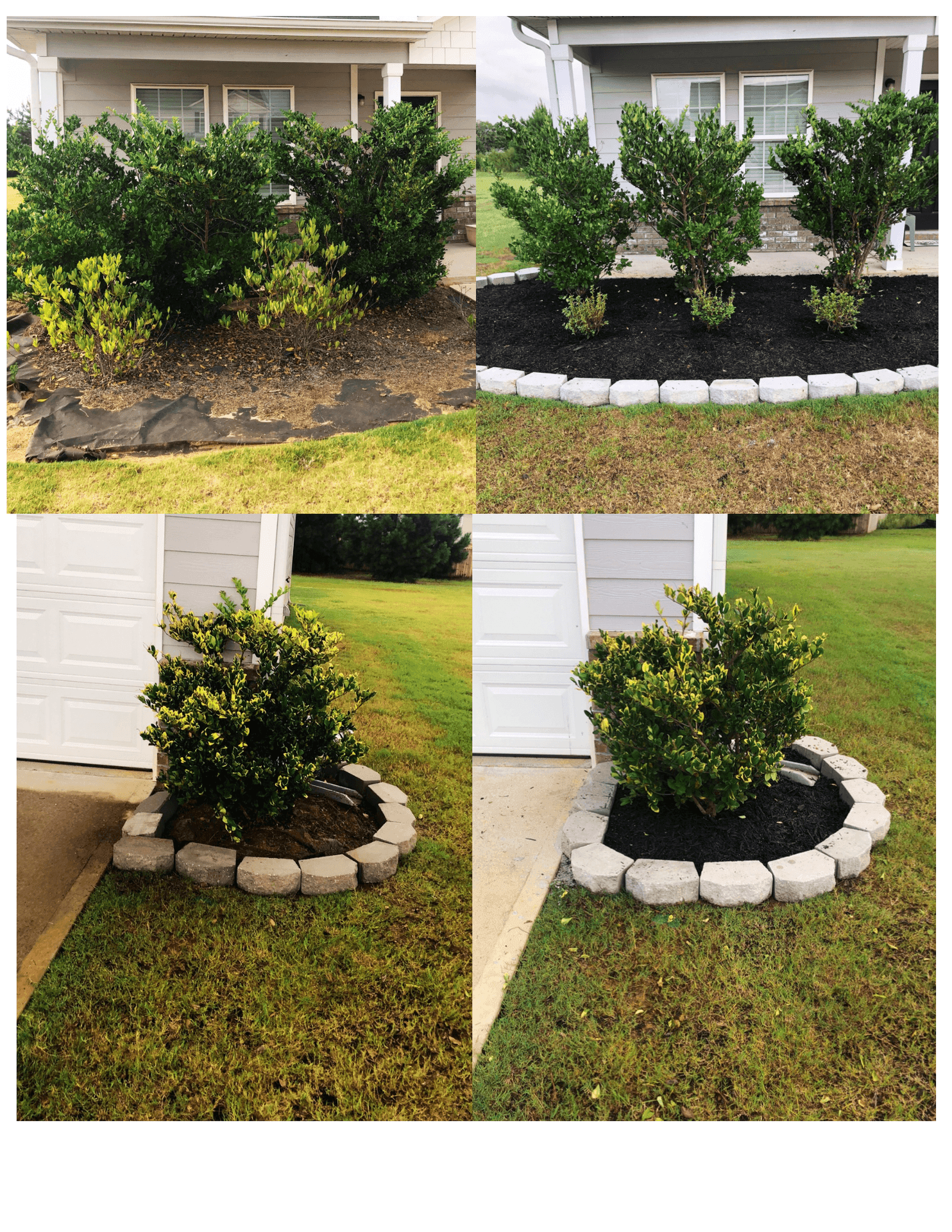 Landscape Design and Installation