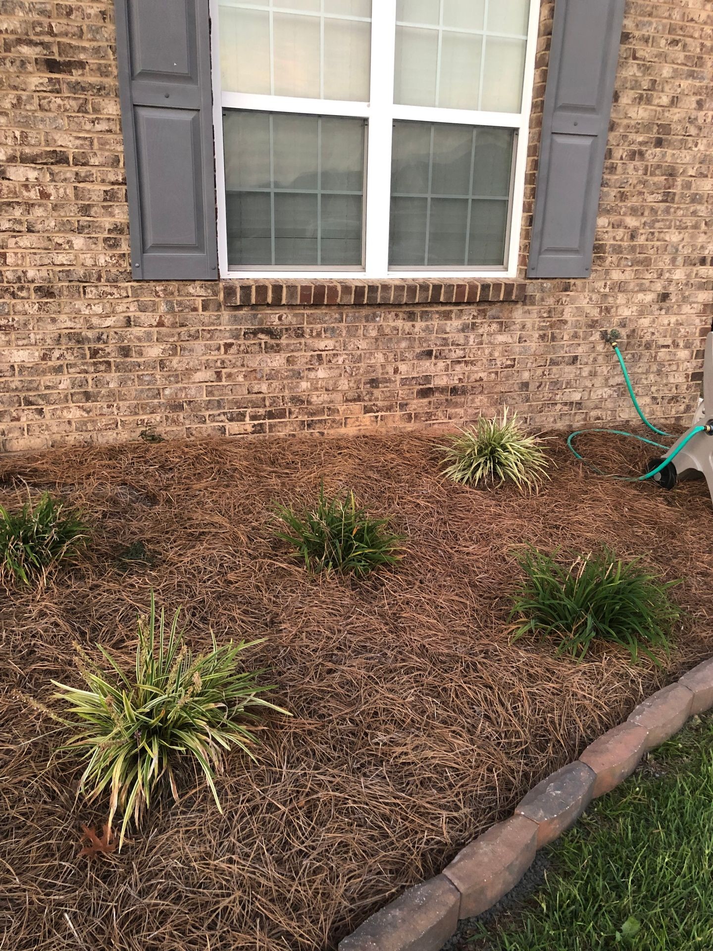 Pinestraw Installation
