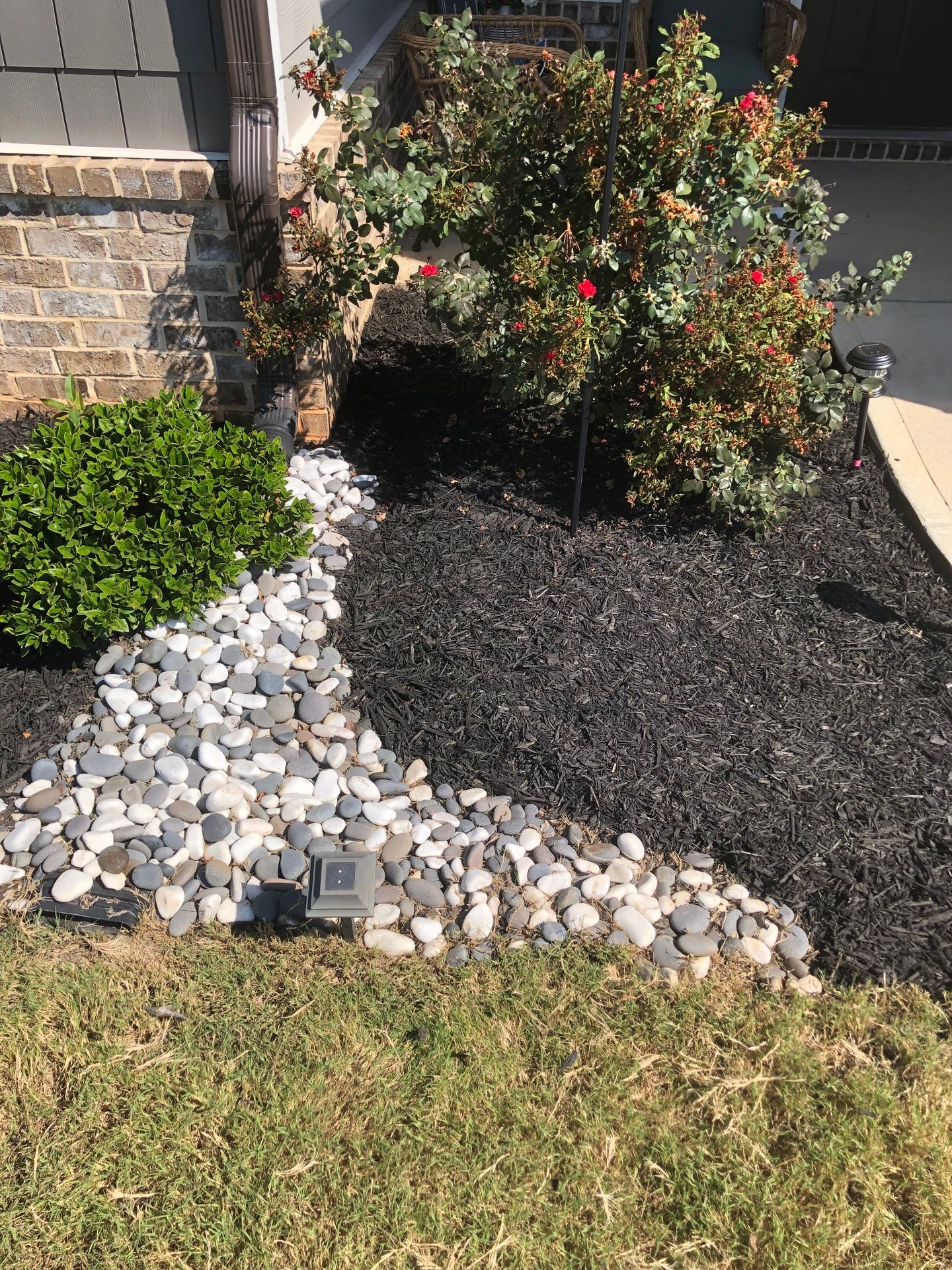 Garden with blooming rose bush, river rocks, mulch, and a small landscape light.